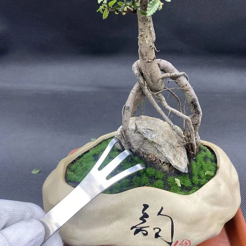 Bonsai Garden Rake - 1PC Stainless Steel Root Rake Bonsai