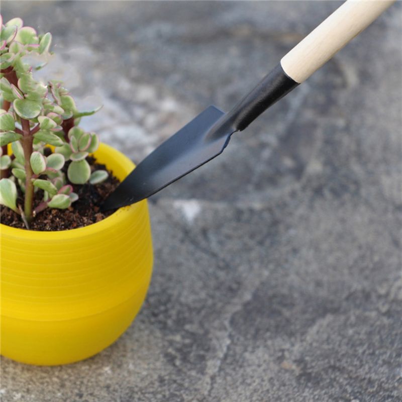 3pcs Mini Garden Shovel Rake S - đánh giá và giá Bonsai Garden Rake
