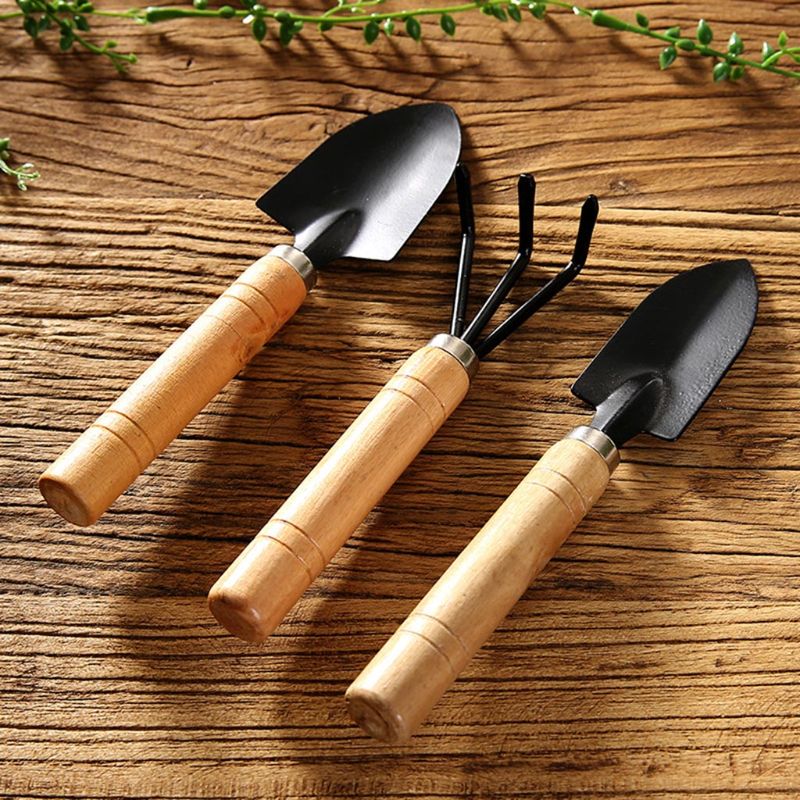 3pcs Mini Garden Shovel Rake S - đánh giá và giá Bonsai Garden Rake
