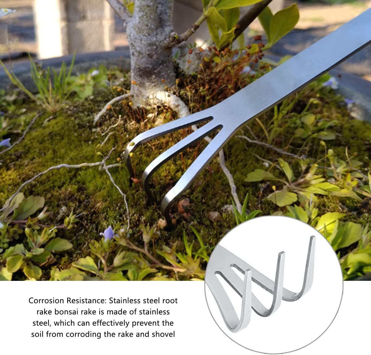 100Pcs Stainless Steel 3 Prong - đánh giá và giá Bonsai Garden Rake