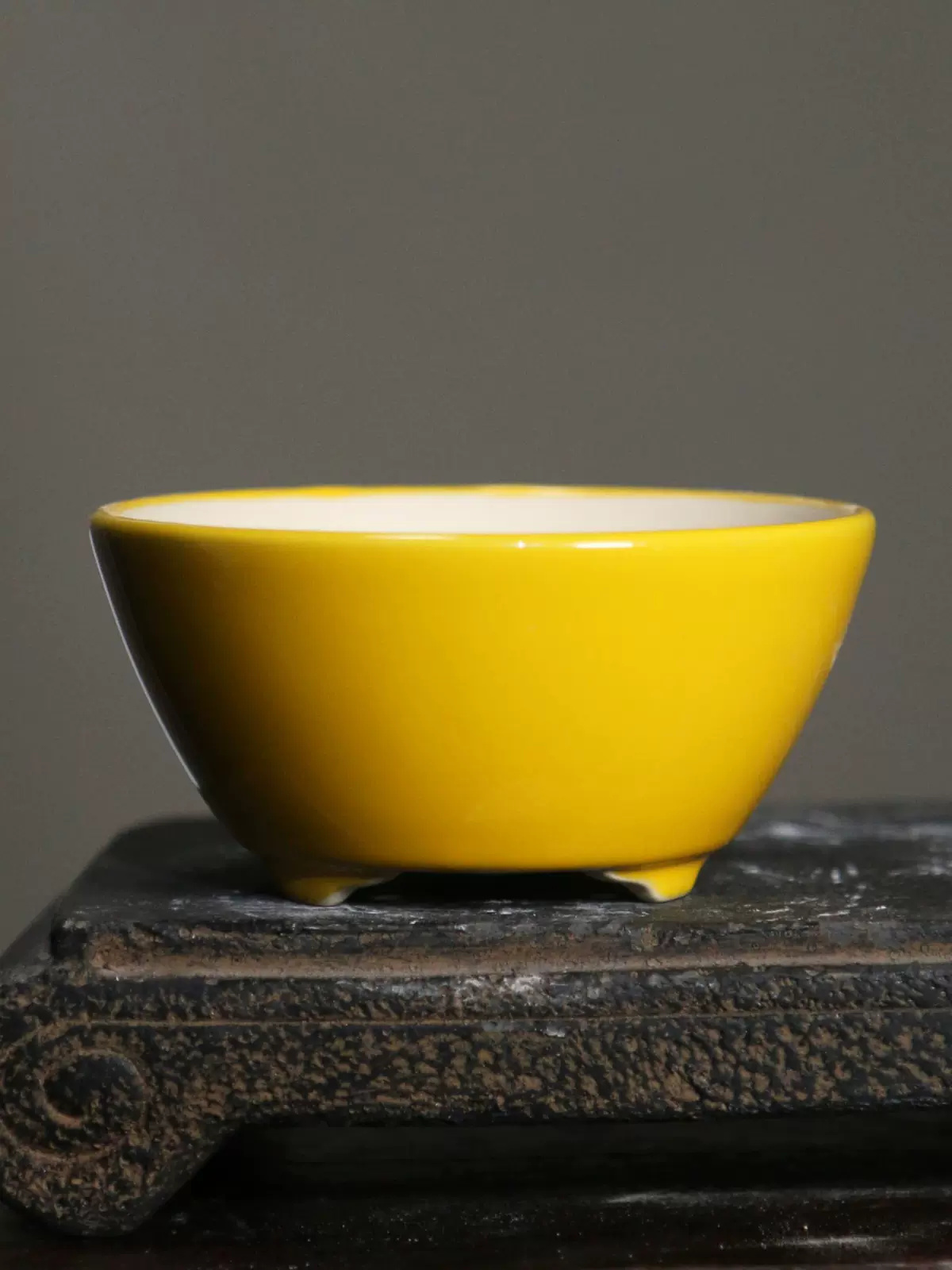 Porcelain Colorful Round Bonsa - đánh giá và giá Bonsai Garden Desk