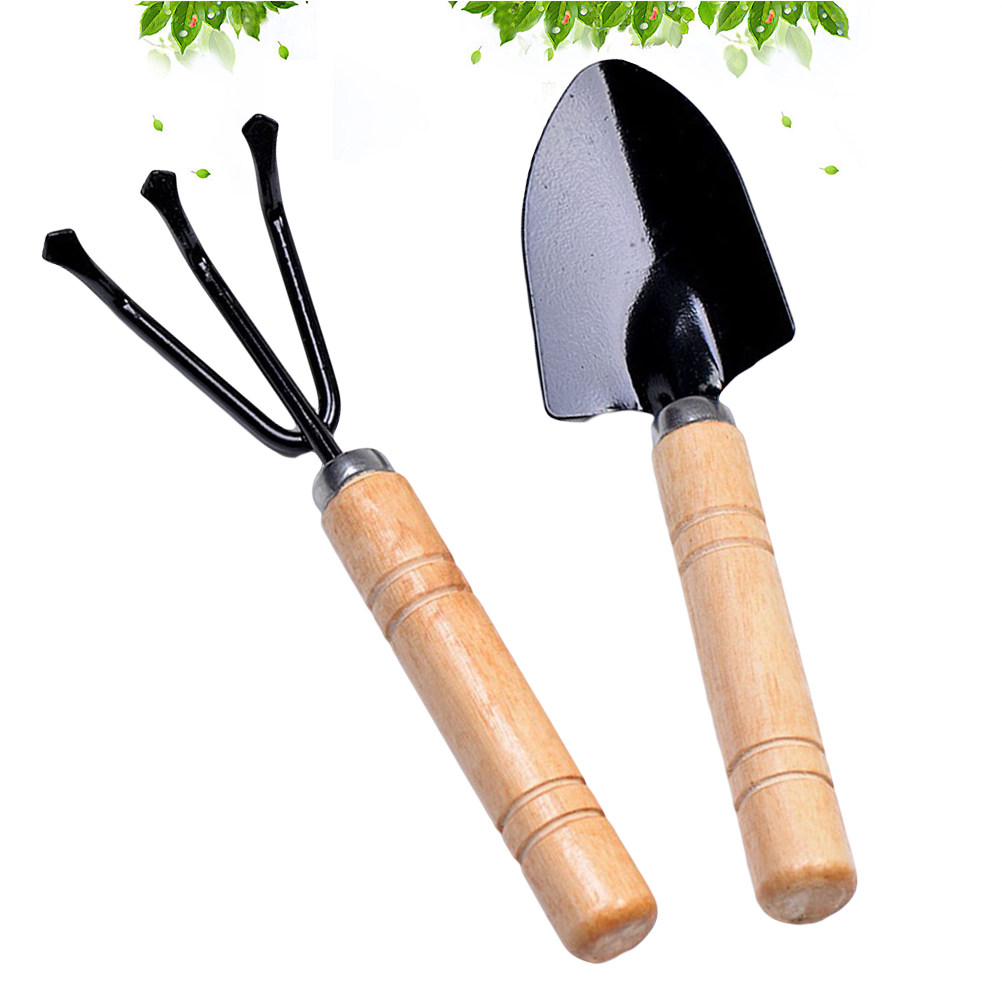 2Pcs Garden Tool Set Mini Spad - đánh giá và giá Bonsai Garden Rake