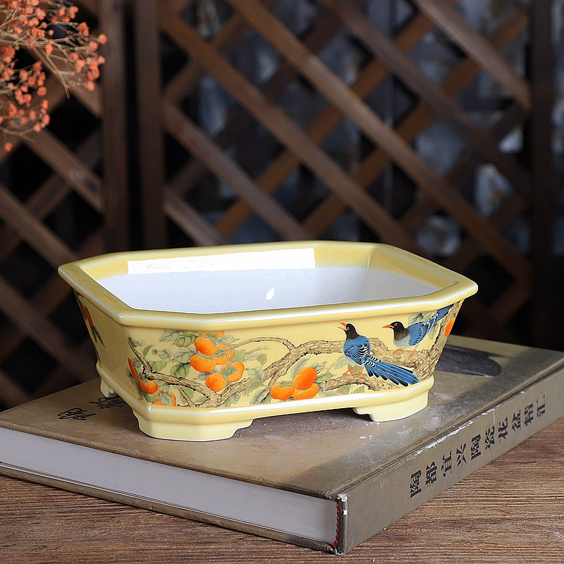 Porcelain Rectangle Bonsai Pot - đánh giá và giá Bonsai Garden Desk