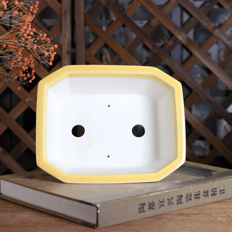 Porcelain Rectangle Bonsai Pot - đánh giá và giá Bonsai Garden Desk