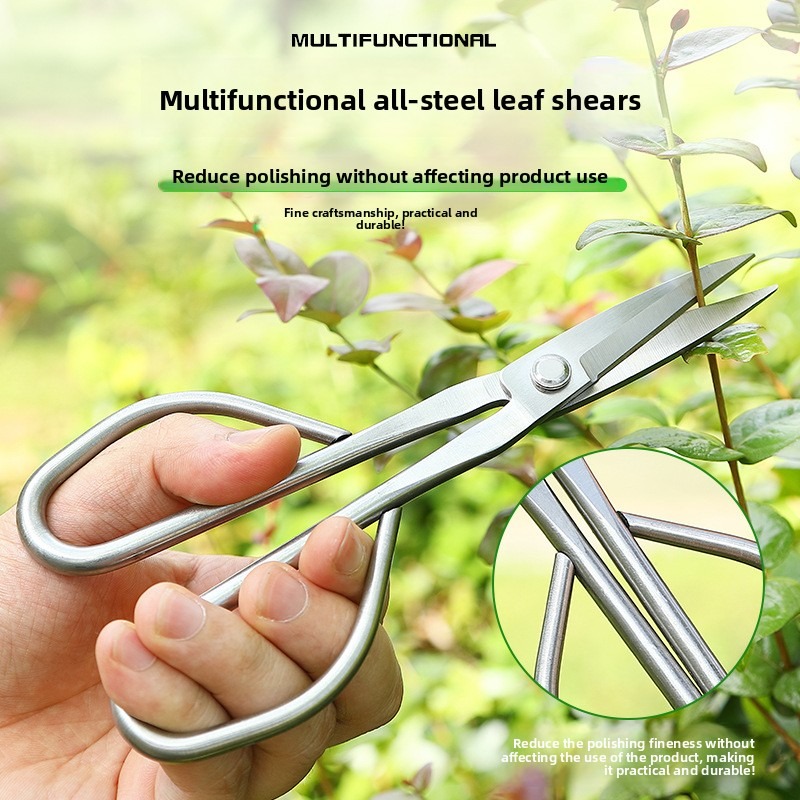 Tender Leaf Scissors Bonsai To - đánh giá và giá Bonsai Garden Rake