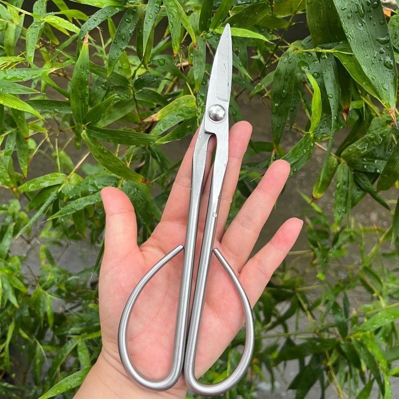 Tender Leaf Scissors Bonsai To - đánh giá và giá Bonsai Garden Rake