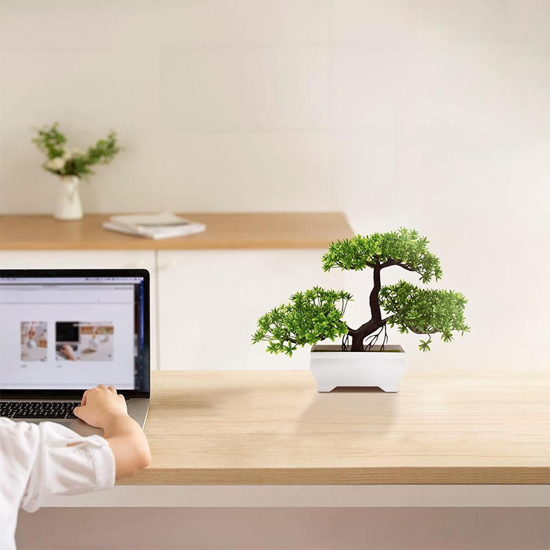 Artificial Bonsai Plastic Bion - đánh giá và giá Bonsai Garden Desk