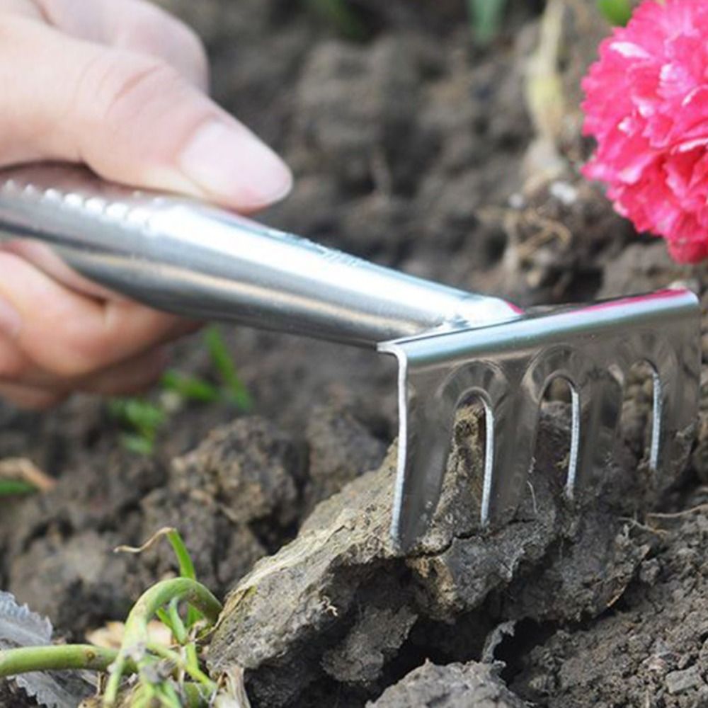 Bonsai Soil Stainless Steel Ga - đánh giá và giá Bonsai Garden Rake