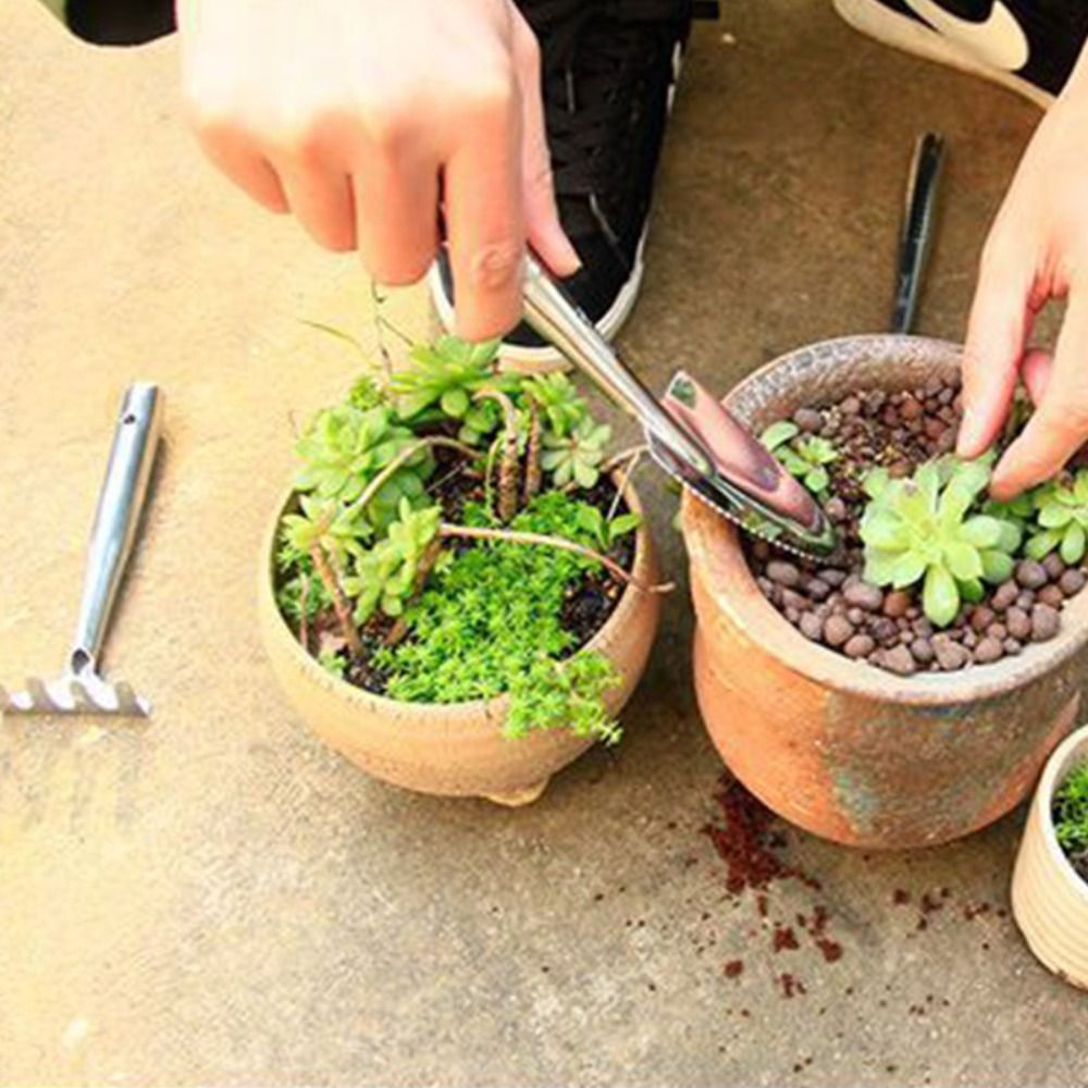 Bonsai Soil Stainless Steel Ga - đánh giá và giá Bonsai Garden Rake