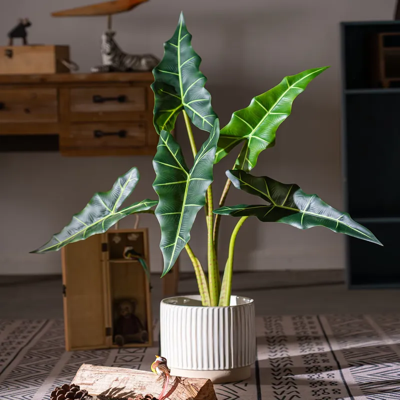 Hot Sale Small Bonsai Simulati - đánh giá và giá Bonsai Garden For Sale