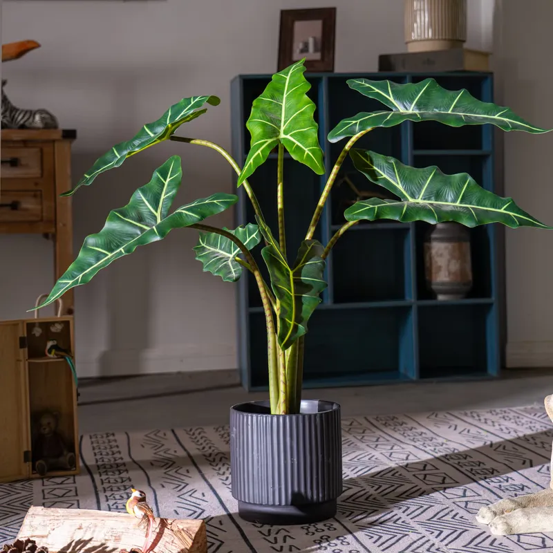 Hot Sale Small Bonsai Simulati - đánh giá và giá Bonsai Garden For Sale